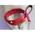 LED Flashing Pet Lead/Leash/Pet Strap